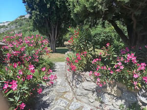 thumbnail: View from property