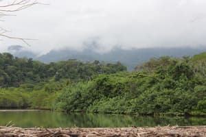 thumbnail: View from property