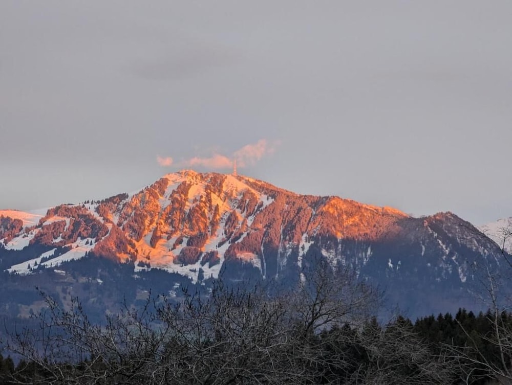 Snowshoeing