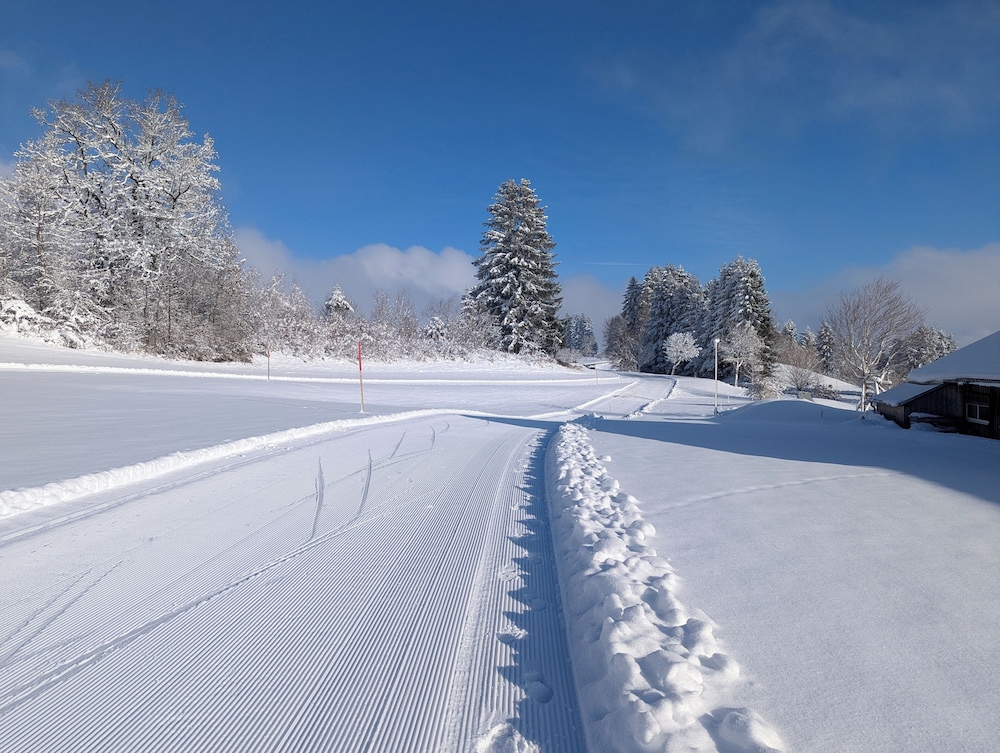 Sledding