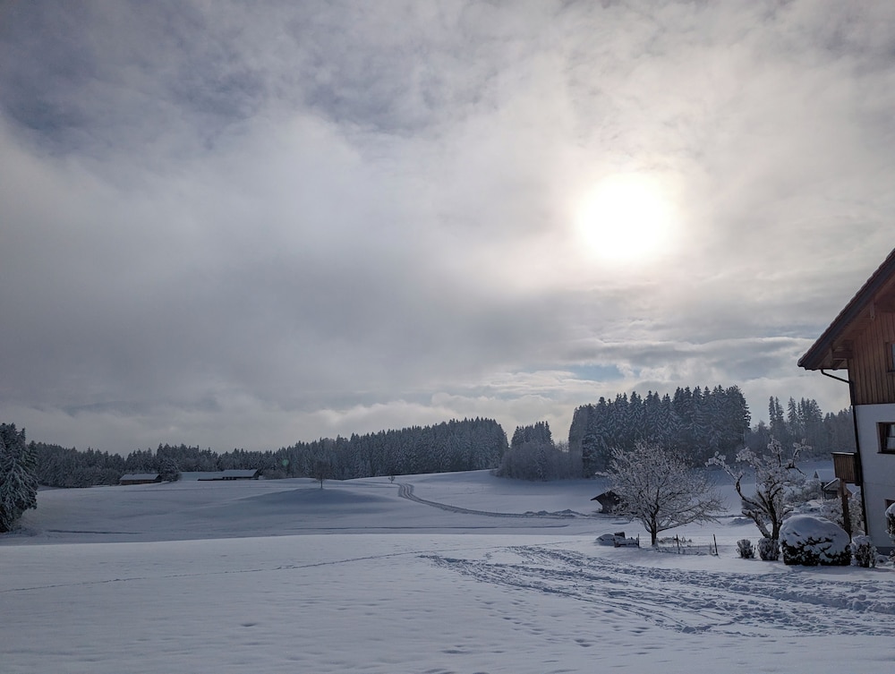 Land view from property