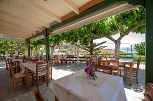 thumbnail: Food and drink