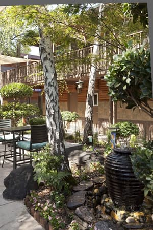 thumbnail: Terrace/patio