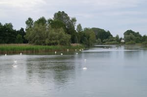 thumbnail: Lake