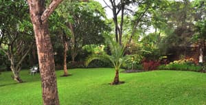 thumbnail: Property grounds