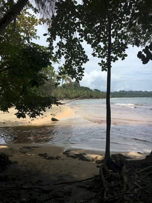 thumbnail: Beach