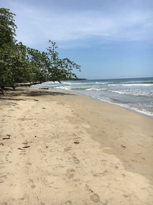 thumbnail: Beach