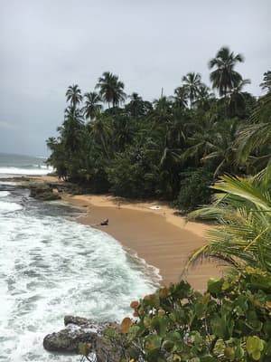 thumbnail: Beach