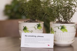 thumbnail: Terrace/patio