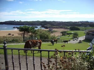 thumbnail: View from property