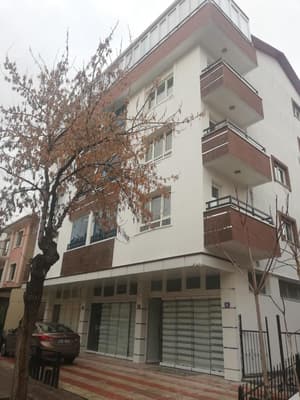 thumbnail: General view