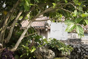 thumbnail: Exterior detail