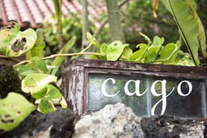 thumbnail: Exterior detail
