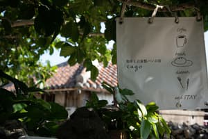 thumbnail: Exterior detail
