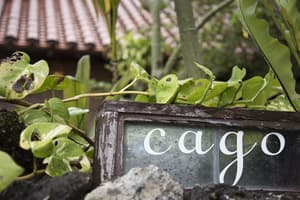 thumbnail: Exterior detail