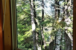 thumbnail: General view