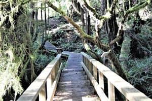 thumbnail: General view