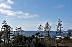 thumbnail: View from property