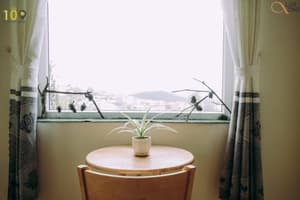 thumbnail: Property grounds
