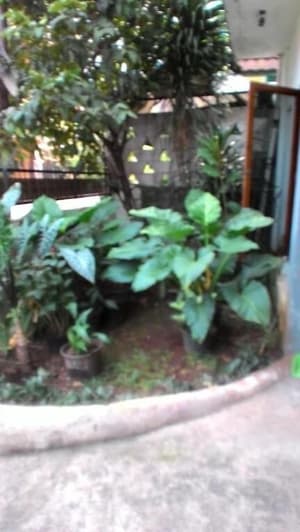 thumbnail: Property grounds