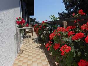 thumbnail: Garden