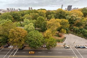 thumbnail: General view