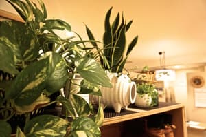 thumbnail: Interior detail
