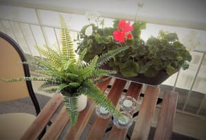 thumbnail: Terrace/patio