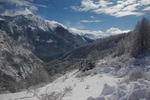 thumbnail: General view