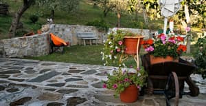 thumbnail: Garden