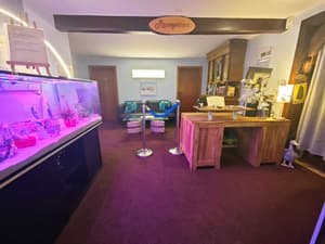 thumbnail: Reception