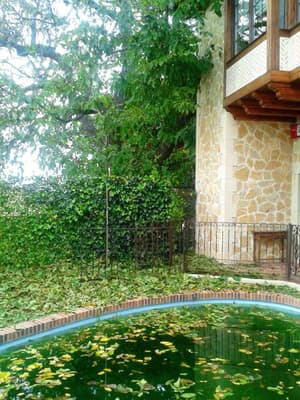 thumbnail: General view