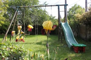 thumbnail: Children's activities