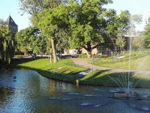 thumbnail: General view