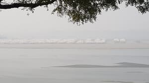 thumbnail: Land view from property