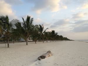 thumbnail: Beach