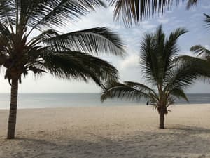 thumbnail: Beach