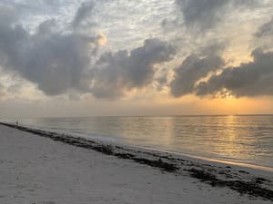thumbnail: Beach