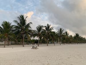 thumbnail: Beach