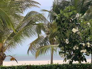 thumbnail: Beach