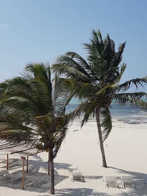 thumbnail: Beach