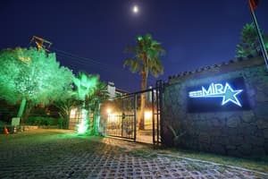 thumbnail: Reception