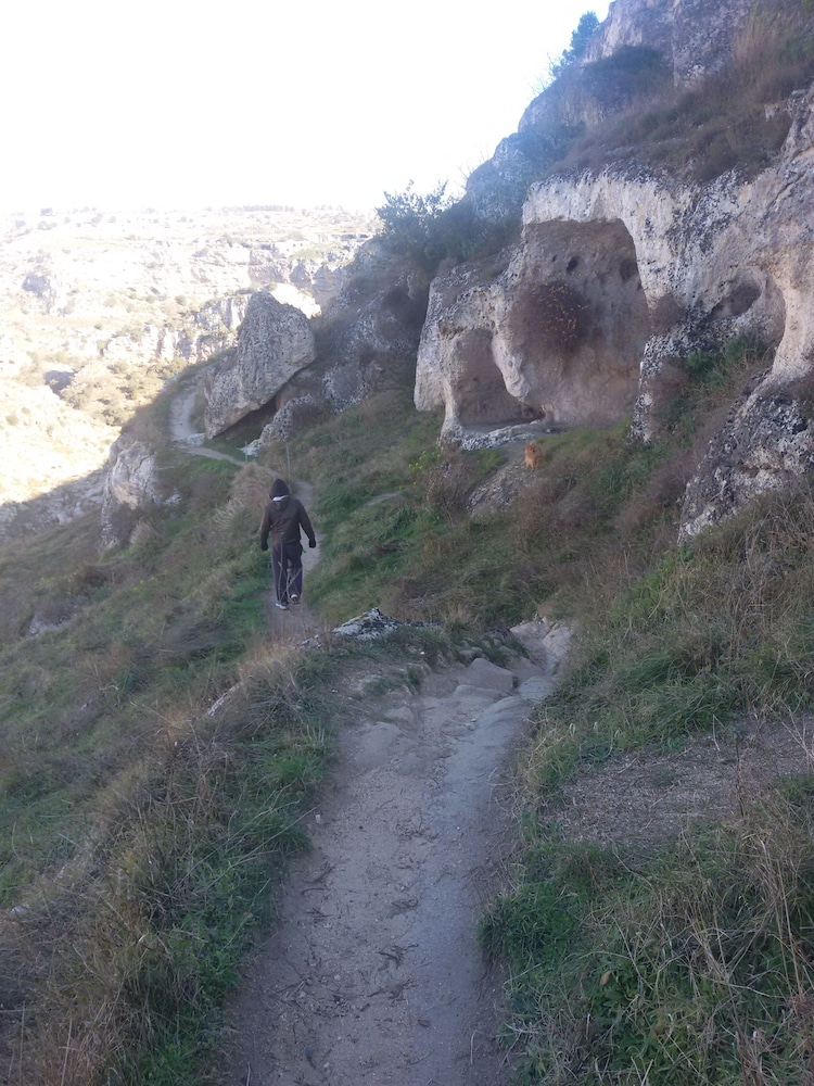 Hiking