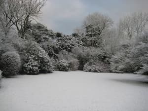 thumbnail: Garden