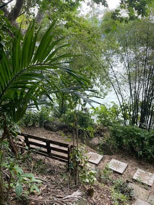thumbnail: Terrace/patio