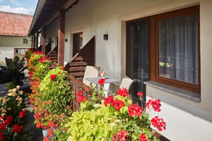 thumbnail: Terrace/patio