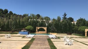 thumbnail: Primary image
