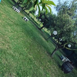thumbnail: Property grounds