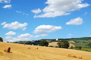 thumbnail: View from property