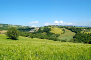 thumbnail: View from property
